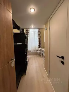 Студия Московская область, Раменский муниципальный округ, Ильинский ...