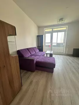 Студия Ленинградская область, Всеволожский район, пос. Бугры ул. Тихая ...