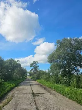 Участок в Хабаровский край, Хабаровский район, с. Некрасовка  (9.0 ...