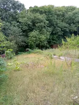 Участок в Ставропольский край, Ставрополь Кавалерийская ул., 11 (6.0 ...