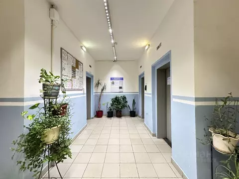 Квартира, 2 комнаты, 53.1 м