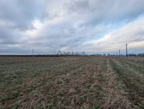 Участок в Татарстан, Тукаевский район, с. Калмия  (8.0 сот.)