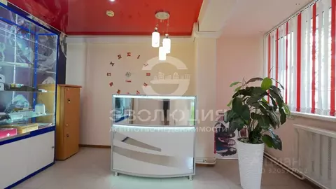 Помещение свободного назначения в Ставропольский край, Ставрополь ...