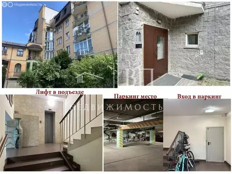 3-комнатная квартира: Санкт-Петербург, Горная улица, 1к1 (104.6 м)