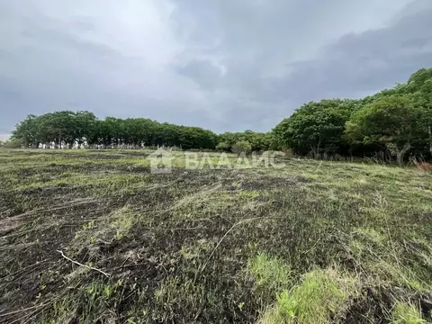 Участок в Приморский край, Уссурийский городской округ, с. Борисовка ...