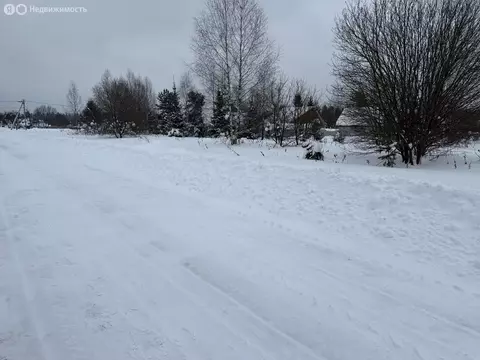 Участок в Владимирская область, Александровский муниципальный округ, ...