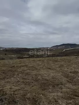 Участок в Алтайский край, Алтайский район, Жемчужина Алтая ДНТ  (10.0 ...