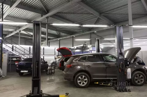 Помещение свободного назначения в Санкт-Петербург Шафировский просп., ...