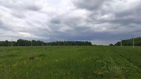 Участок в Нижегородская область, Дальнеконстантиновский муниципальный ...