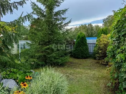 Дом в Новосибирская область, Бердск Волна СНТ, ул. Озерная, 18 (55 м)