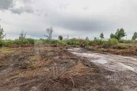 Участок в Тюменская область, Тюмень  (8.0 сот.)