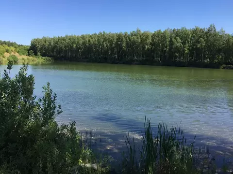 Участок в Тульская область, Заокский район, Демидовское с/пос, с. ...