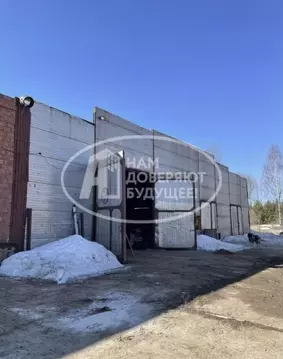 Помещение свободного назначения в Пермский край, Чернушинский ...