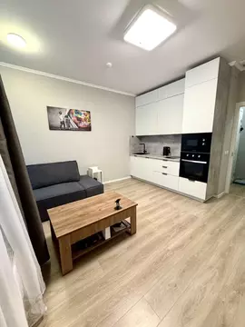 Студия Санкт-Петербург пос. Шушары, ул. Нины Петровой, 8к1 (24.7 м)