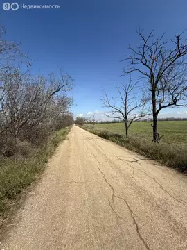 Участок в Симферопольский район, посёлок городского типа Николаевка (6 ...