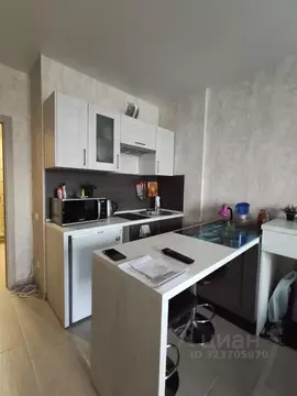 Студия Тверская область, Тверь ул. Терещенко, 6 (22.3 м)