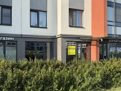 Помещение свободного назначения в Санкт-Петербург просп. Ветеранов, ...