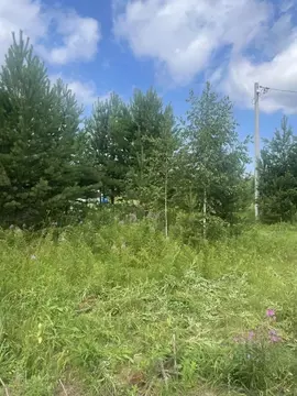 Участок в Свердловская область, Верхняя Пышма городской округ, с. ...