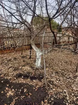 Участок в Курганская область, Шадринский муниципальный округ, ...