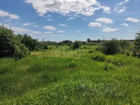 Участок в Саратовская область, Балашовский район, с. Большой Мелик ул. ...