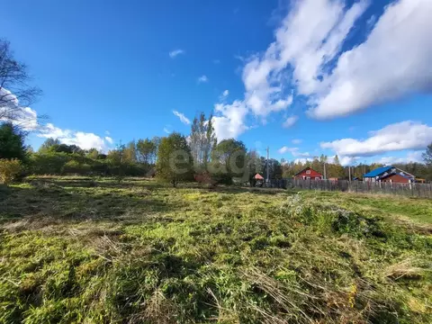 Участок в Псковская область, Плюсский муниципальный округ, д. Которск  ...