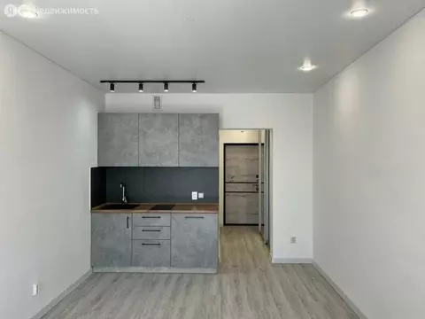 Квартира-студия: Иркутск, улица Баумана, 269 (29.3 м)