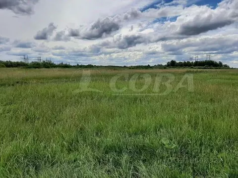 Участок в Тюменская область, Тюмень  (182.0 сот.)