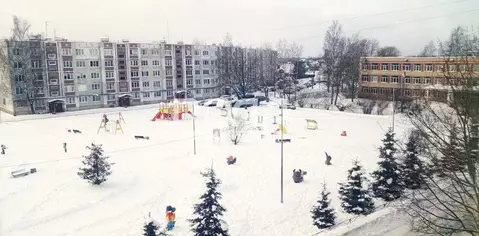 3-к кв. Ленинградская область, Гатчинский муниципальный округ, д. ...