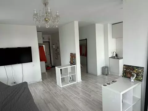 1-к кв. Санкт-Петербург пос. Парголово, ул. Федора Абрамова, 21к1 ...