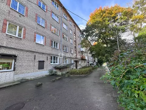 2-к кв. Калининградская область, Калининград ул. Куйбышева, 37 (50.0 ...