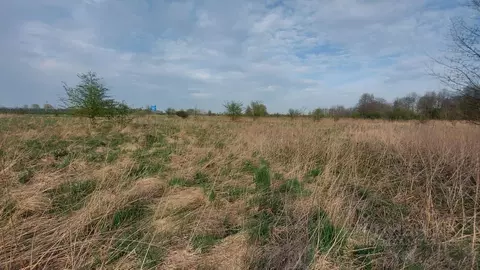 Участок в Калининградская область, Зеленоградский муниципальный округ, ...