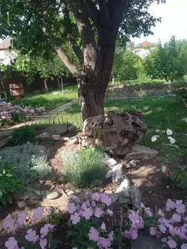 Дом в Краснодарский край, Анапа муниципальный округ, Анапская ст-ца ...