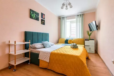 1-к кв. Санкт-Петербург Коломяжский просп., 15к1 (40.0 м)