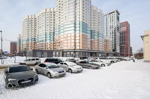 Студия Новосибирская область, Новосибирск ул. Некрасова, 41 (32.0 м)