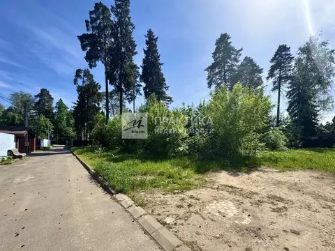 Участок в Московская область, Пушкино Мамонтовка мкр, Фестивальная ул. ...