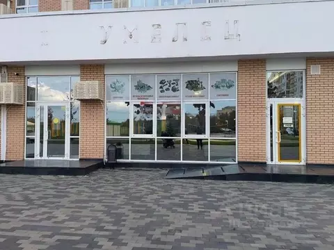 Помещение свободного назначения в Краснодарский край, Динская ст-ца ...