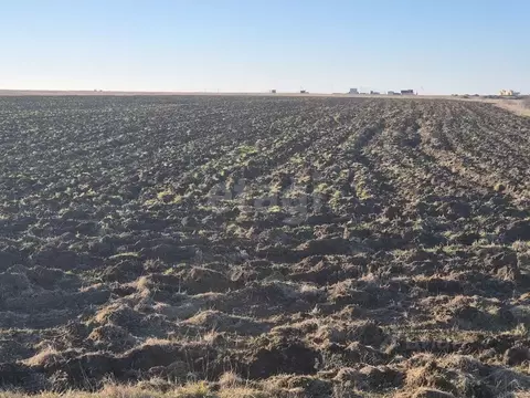 Участок в Крым, Ленинский район, Семисотское с/пос, с. Каменское ул. ...