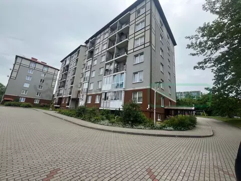 Помещение свободного назначения в Калининградская область, Светлогорск ...