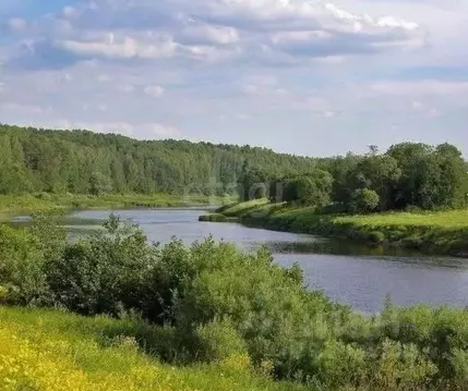 Участок в Калужская область, Жуковский муниципальный округ, Тарутино ...