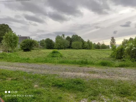 Участок в Ярославская область, Пошехонский муниципальный округ, ...
