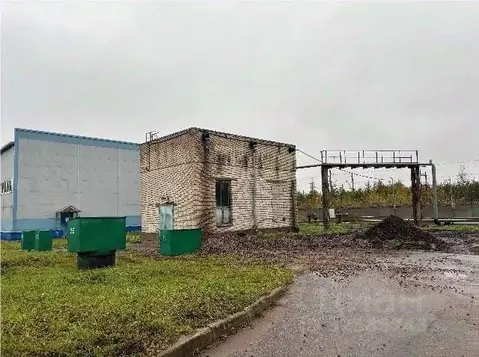 Производственное помещение в Ленинградская область, Всеволожский ...
