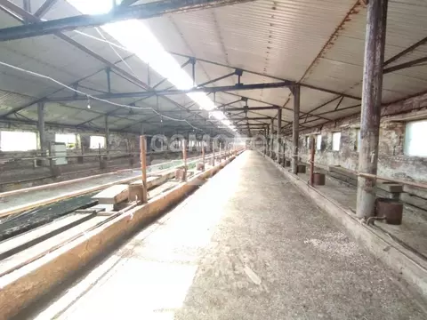 Участок в Алтайский край, Смоленский район, с. Смоленское Октябрьская ...