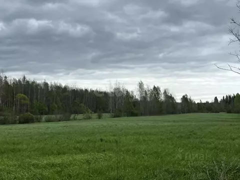 Участок в Ленинградская область, Выборгский район, Советское городское ...