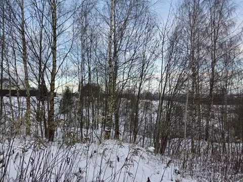Участок в Московская область, Сергиево-Посадский городской округ, д. ...