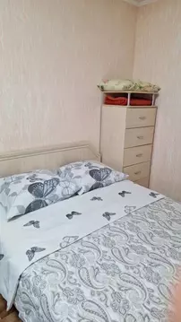 Студия Алтайский край, Барнаул Взлетная ул., 81 (37.0 м)