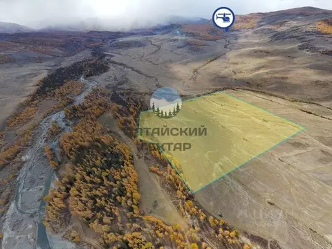 Участок в Алтай, Кош-Агачский район, с. Курай  (667.0 сот.)