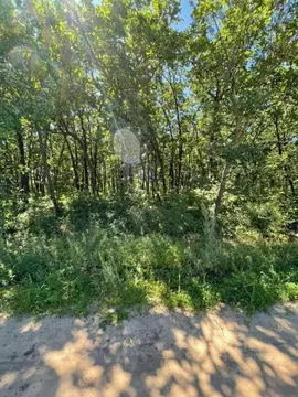 Участок в Амурская область, Благовещенский район, с. Волково  (15.0 ...