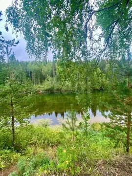 Дом в Коми, Ухта муниципальный округ, пос. Веселый Кут 26 (64 м)