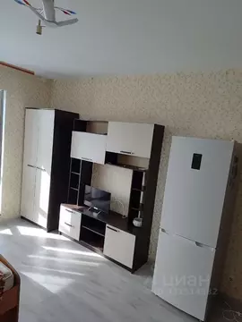 Студия Ленинградская область, Никольское Тосненский район, Школьная ...