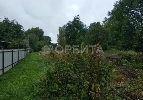 Участок в Тюменская область, Тюменский муниципальный округ, д. Большие ...